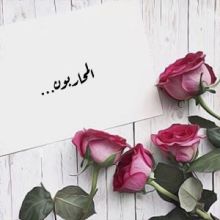 كتاب المحاربون