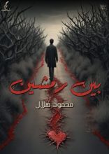 رواية بين رمشين