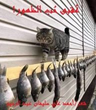 كتاب عقبى حب الظهور !