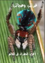 كتاب غرائب وعجائب - الجزء السادس