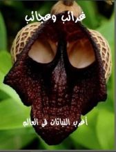 كتاب غرائب وعجائب - الجزء السابع