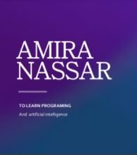 PROGRAMMING AND AI