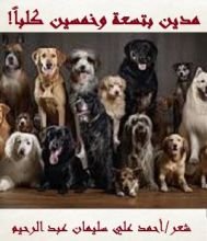 كتاب مدين بتسعة وخمسين كلبا