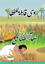 كتاب رؤى قابلة للخطأ