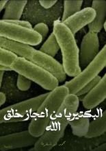 كتاب البكتيريا من اعجاز خلق الله