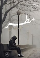 كتاب مطر على أرصفة الحنين