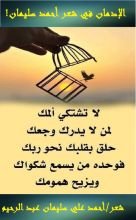 كتاب الإدمان في شعر أحمد سليمان