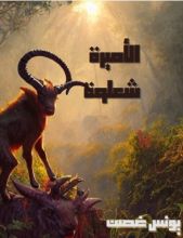 رواية الأميرة شعلوة