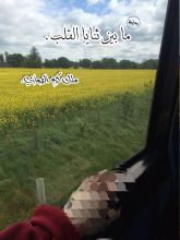 رواية ما بين ثنايا القلب