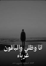 كتاب انا وظلي والباقون غرباء