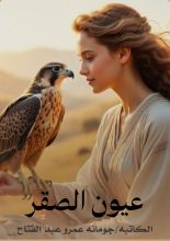 رواية عيون الصقر