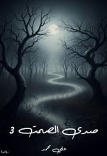 قصة صدى الصمت 3