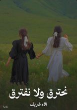 رواية نحترق ولا نفترق