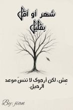 قصة شهر أو أقل بقليل