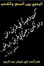 كتاب البدوي بين الصدق والكذب!