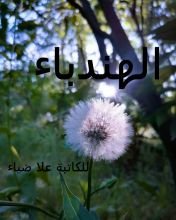 كتاب الهندباء